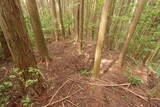 伊予 鷹森城(美川村)の写真