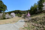 伊予 高森城(三間町)の写真