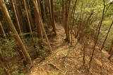 伊予 高森城(三間町)の写真