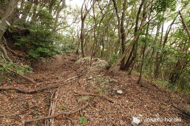 伊予 松森城(三崎町)の写真
