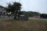 伊予 元城の写真