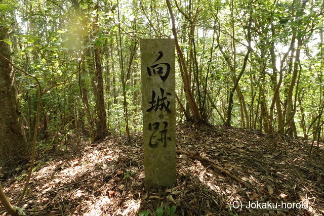 伊予 向城(肱川町)の写真