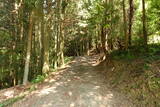 伊予 向城(肱川町)の写真