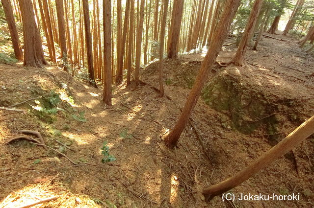 伊予 横山城(西条市)の写真