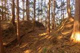 伊予 横山城(西条市)の写真