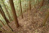 伊予 大森城(松野町)の写真