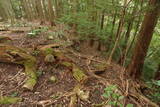 伊予 大森城(松野町)の写真