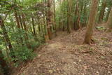 伊予 大森城(松野町)の写真