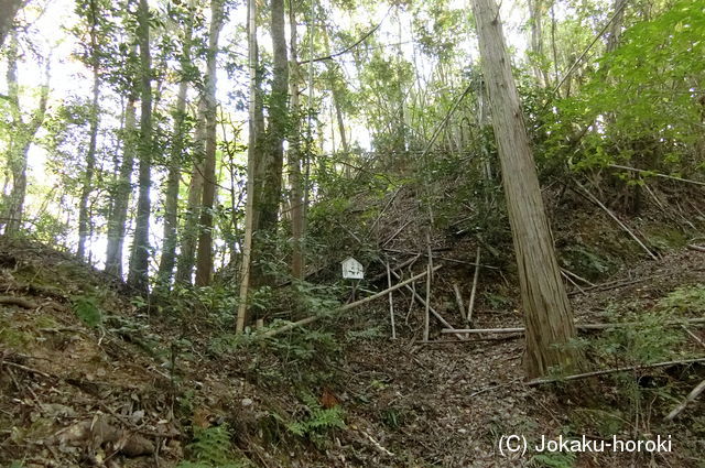 伊予 白木城(野村町)の写真