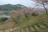 伊予 能島城の写真