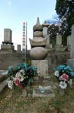 伊予 岡崎城の写真