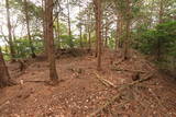 伊予 正法寺山城の写真