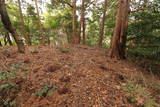 伊予 正法寺山城の写真