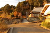 伊予 鳥屋ヶ森城の写真