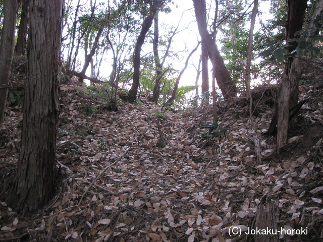 伊予 藤蔵山城の写真