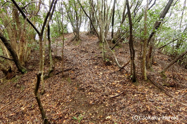 伊予 高森城(津島町)の写真