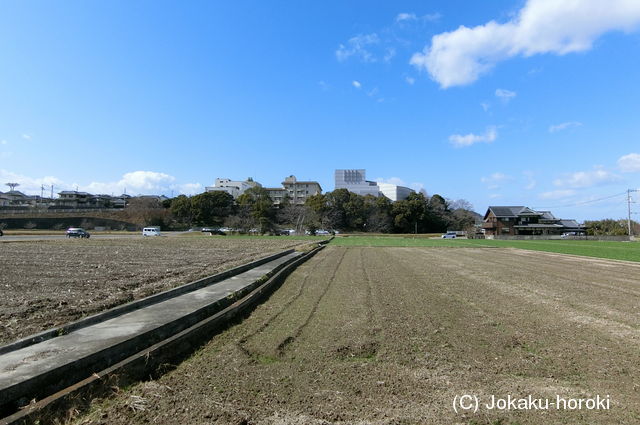 伊予 上野城の写真