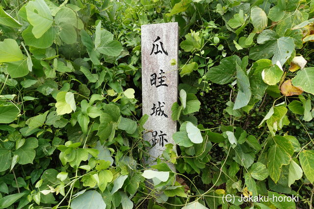 伊予 瓜畦城の写真