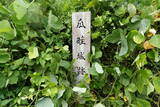 伊予 瓜畦城の写真