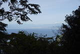 伊豆 発端頂砦の写真