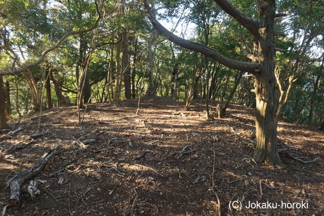 伊豆 岩尻山砦の写真