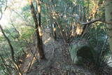 伊豆 岩尻山砦の写真