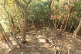 伊豆 岩尻山砦の写真