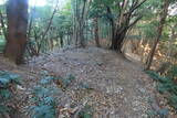 伊豆 鎌田城の写真