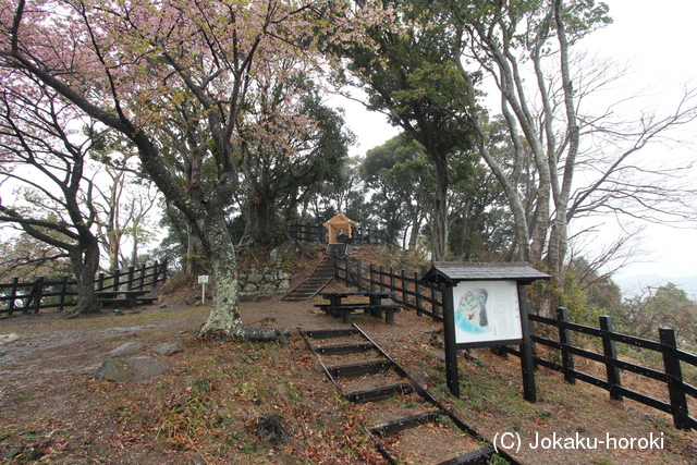 伊豆 河津城の写真