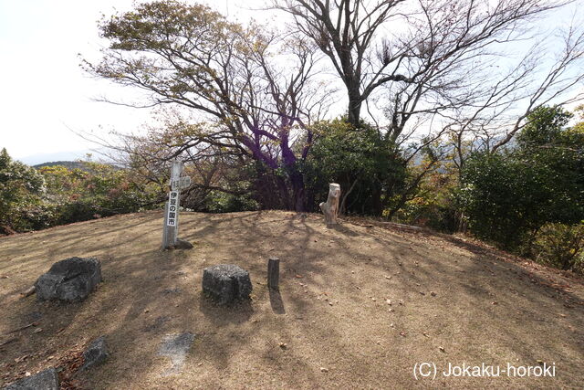 伊豆 三津城の写真