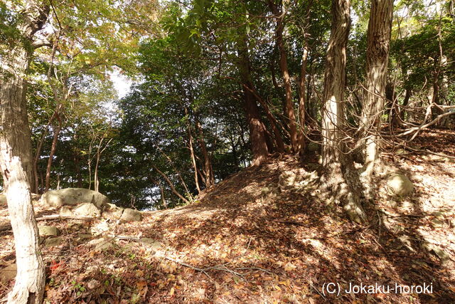 伊豆 三津新城の写真