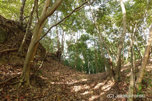 伊豆 宮脇城の写真
