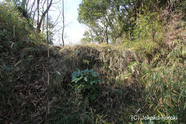 伊豆 韮山城土手和田砦の写真