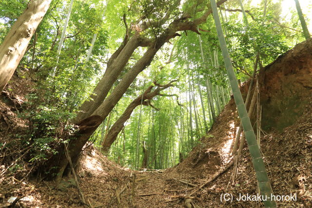 伊豆 韮山城江川砦の写真