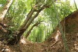 伊豆 韮山城江川砦の写真