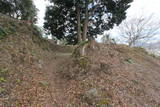 伊豆 韮山城の写真