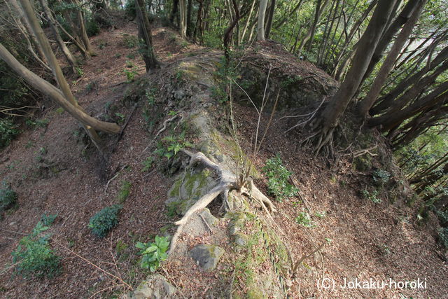 伊豆 韮山城天ヶ岳砦の写真