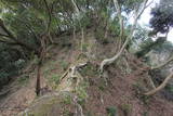 伊豆 韮山城天ヶ岳砦の写真