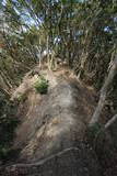 伊豆 韮山城天ヶ岳砦の写真