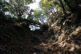 伊豆 韮山城天ヶ岳砦の写真