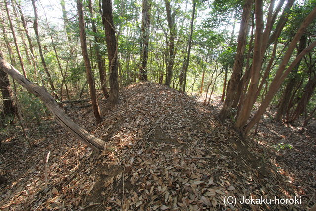 伊豆 追越山付城の写真