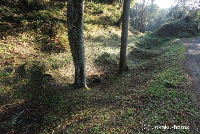 伊豆 下田城の写真