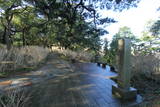 伊豆 下田城の写真