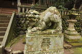 伊豆 修善寺城の写真