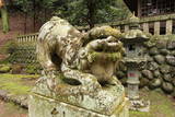 伊豆 修善寺城の写真