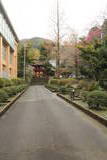 伊豆 高谷城の写真