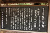 伊豆 高谷城の写真