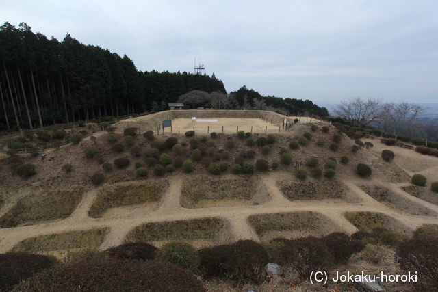 伊豆 山中城の写真