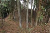 伊豆 山中城の写真