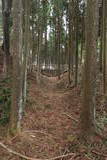 伊豆 山中城の写真